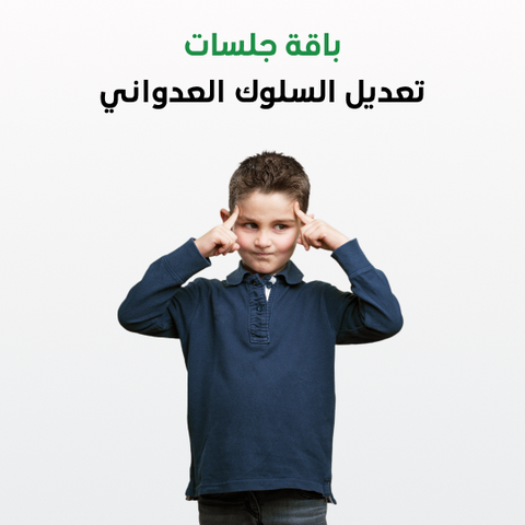 Aggressive Behavior Modification Sessions Package 